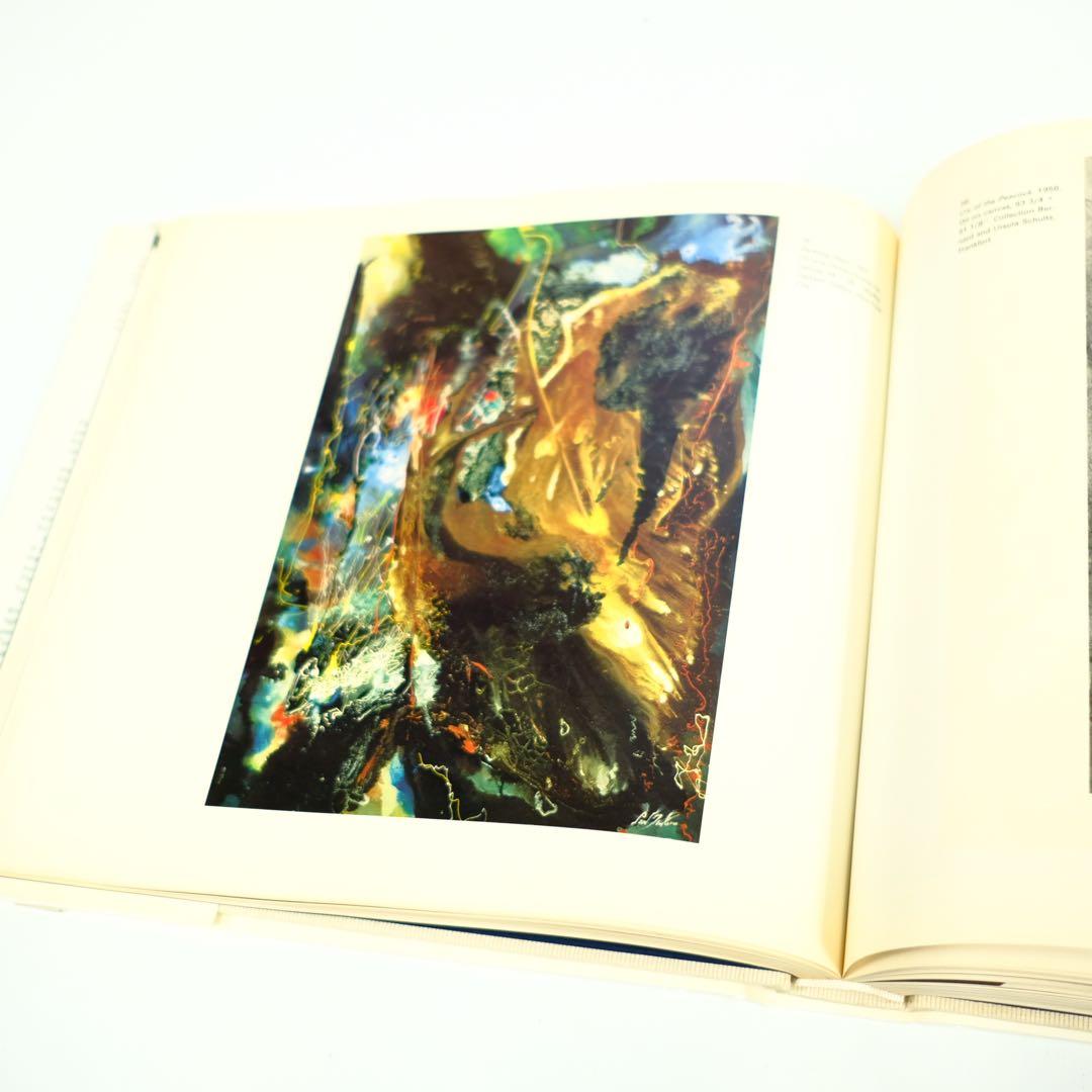 PAUL JENKINS ABRAMS ELSEN 洋書　画集　作品集　初版