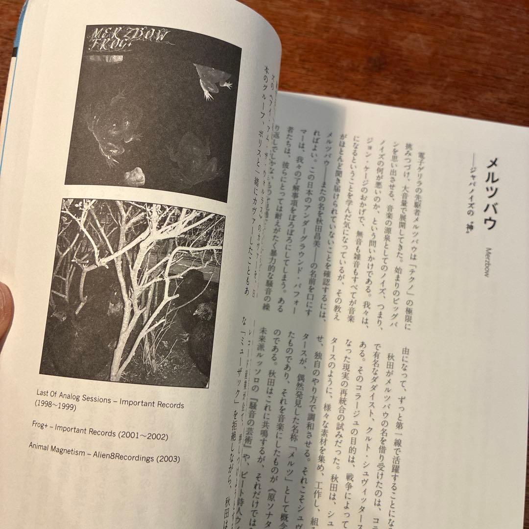 エクスペリメンタル・ミュージック―実験音楽ディスクガイド