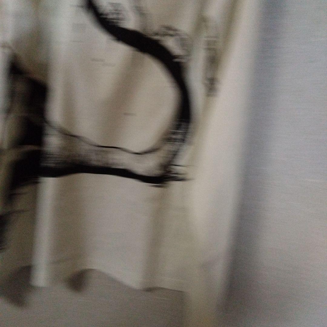 グラニフ　鋼の錬金術師 ロングtシャツ 未使用