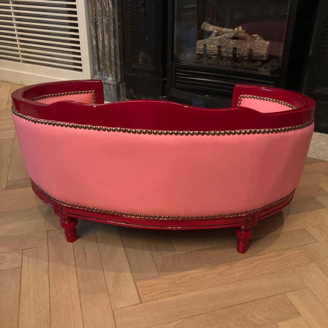 ピンクサロン小型犬