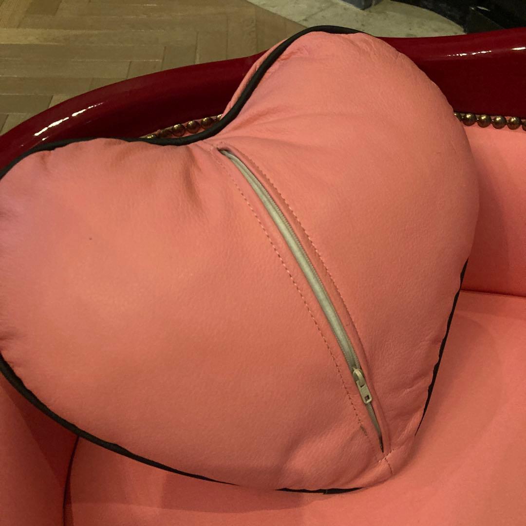 ピンクサロン小型犬