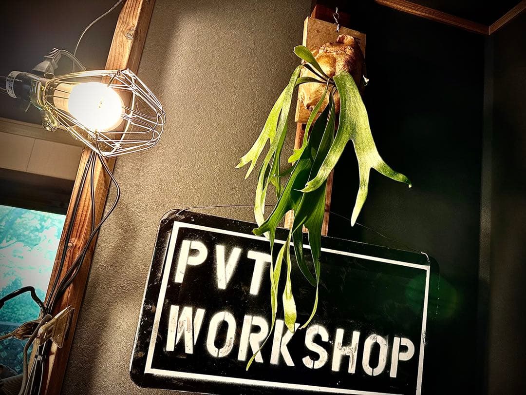 Pvt.Workshop 極　本革　デッキケース　ハーフプレマケース