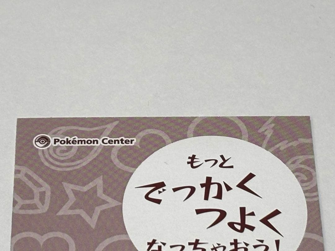 ポンチョピカチュウ名刺カード メガリザードン XメガリザードンY 2枚セット