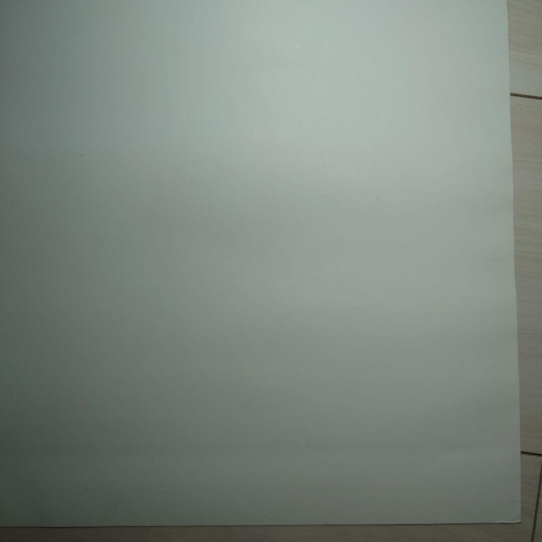 Pearl Jam / Tour 2003 ポスター（ポスターフレーム付）