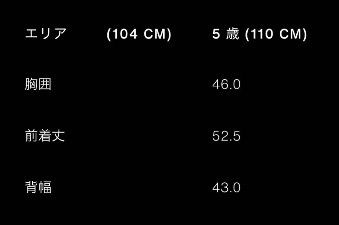 ZARA キッズ　スノーウェア　110cm ジャケット