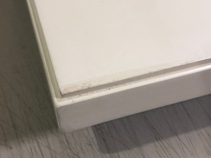 ふくろうペア　絵画　kojima作