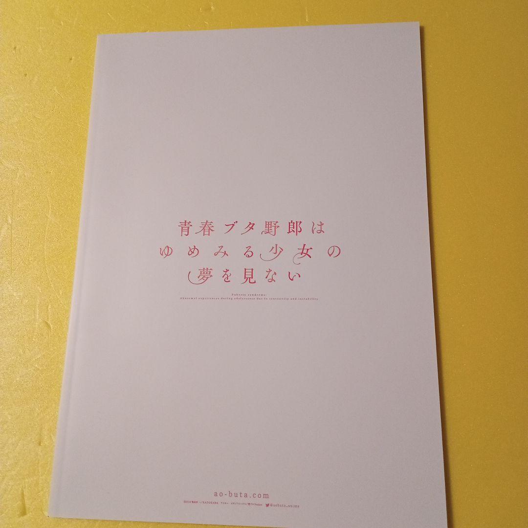 劇場版　青春のブタ野郎はゆめみる少女の夢を見ない　豪華版パンフレット　チラシ付き
