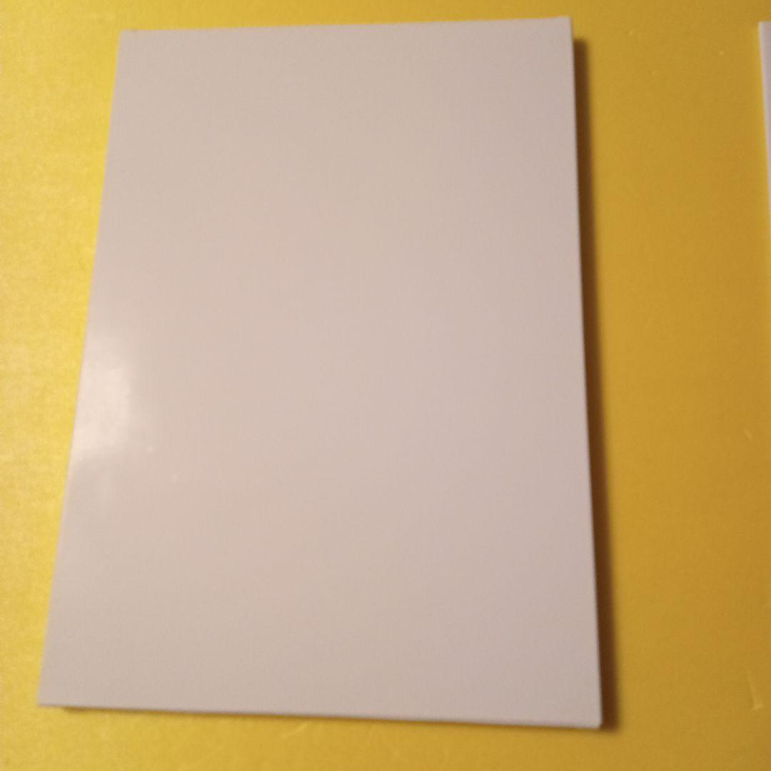 劇場版　青春のブタ野郎はゆめみる少女の夢を見ない　豪華版パンフレット　チラシ付き