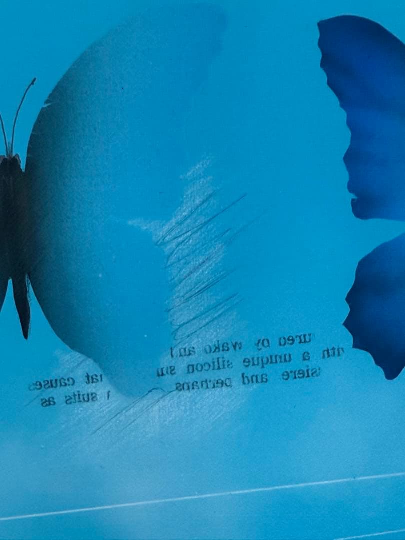 松哲也　時空　蝶の変化を描いたアート作品　送料込み0321