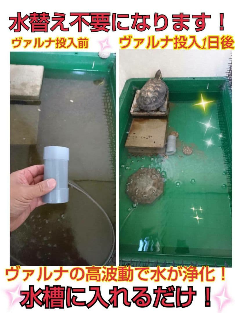 ヴァルナミニ　23センチ　水槽の透明度が抜群に！有害物質強力抑制！水替え不要に！