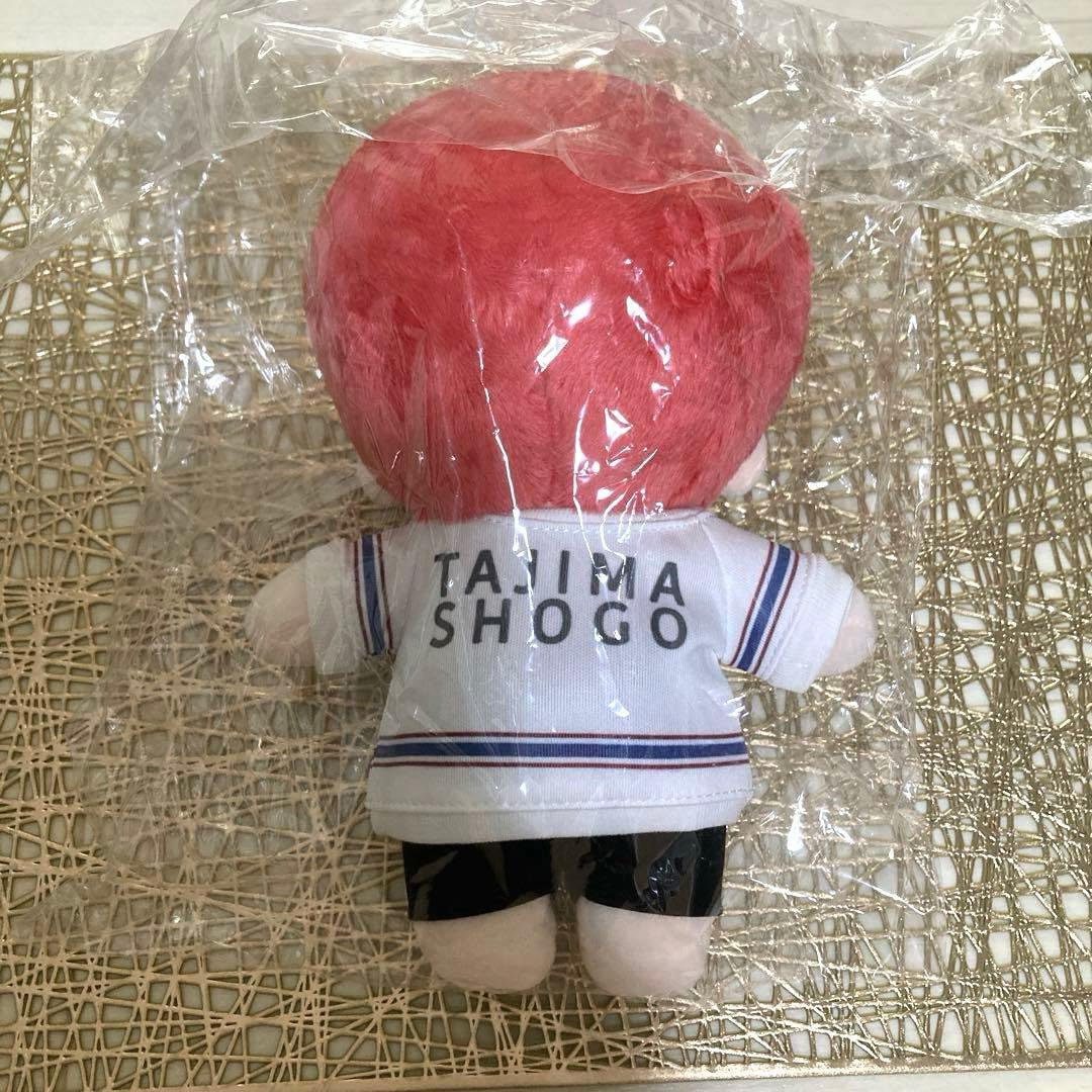 田島将吾20cmドール【INI】開封済み、未使用