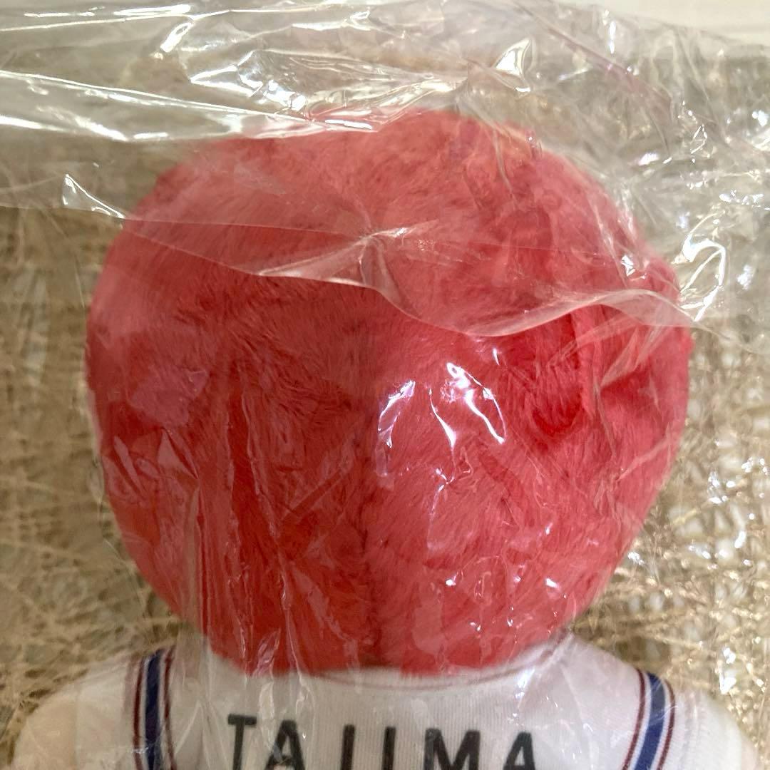 田島将吾20cmドール【INI】開封済み、未使用