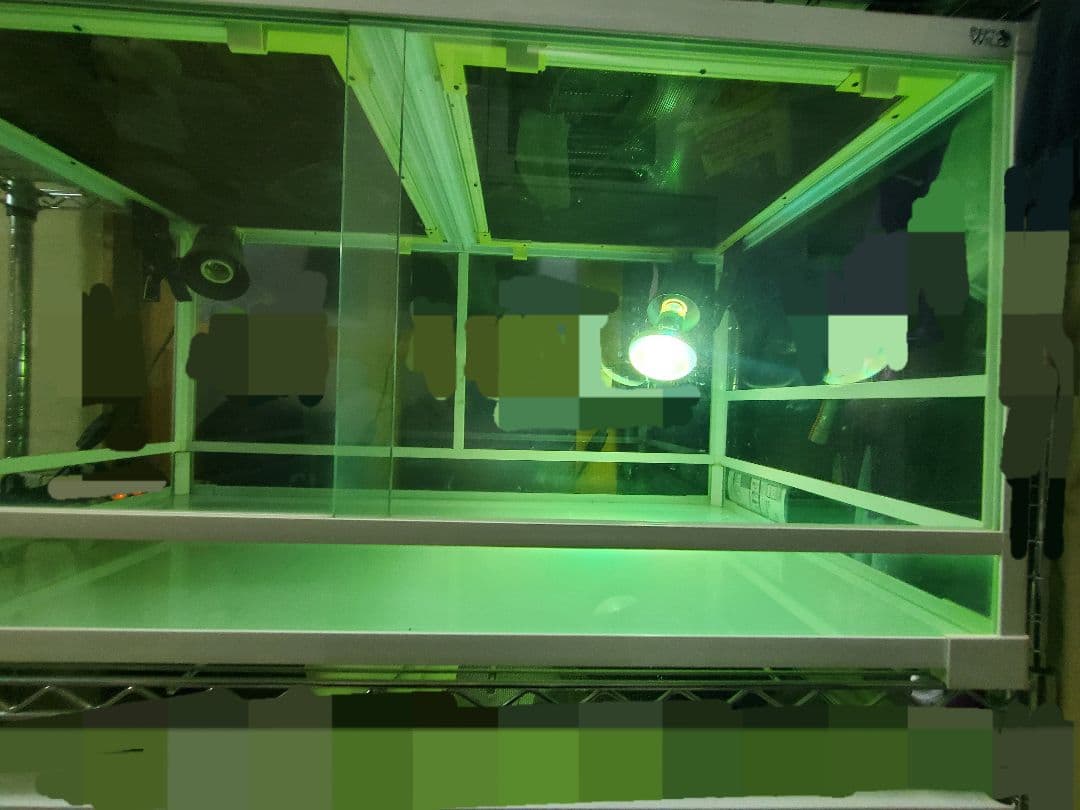 パンテオン 90 お値引価格9月4日まで