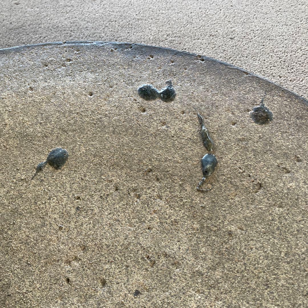 珍品 特大 水鉢 大鉢 花器 大皿 作者不明 直径63cm オブジェ