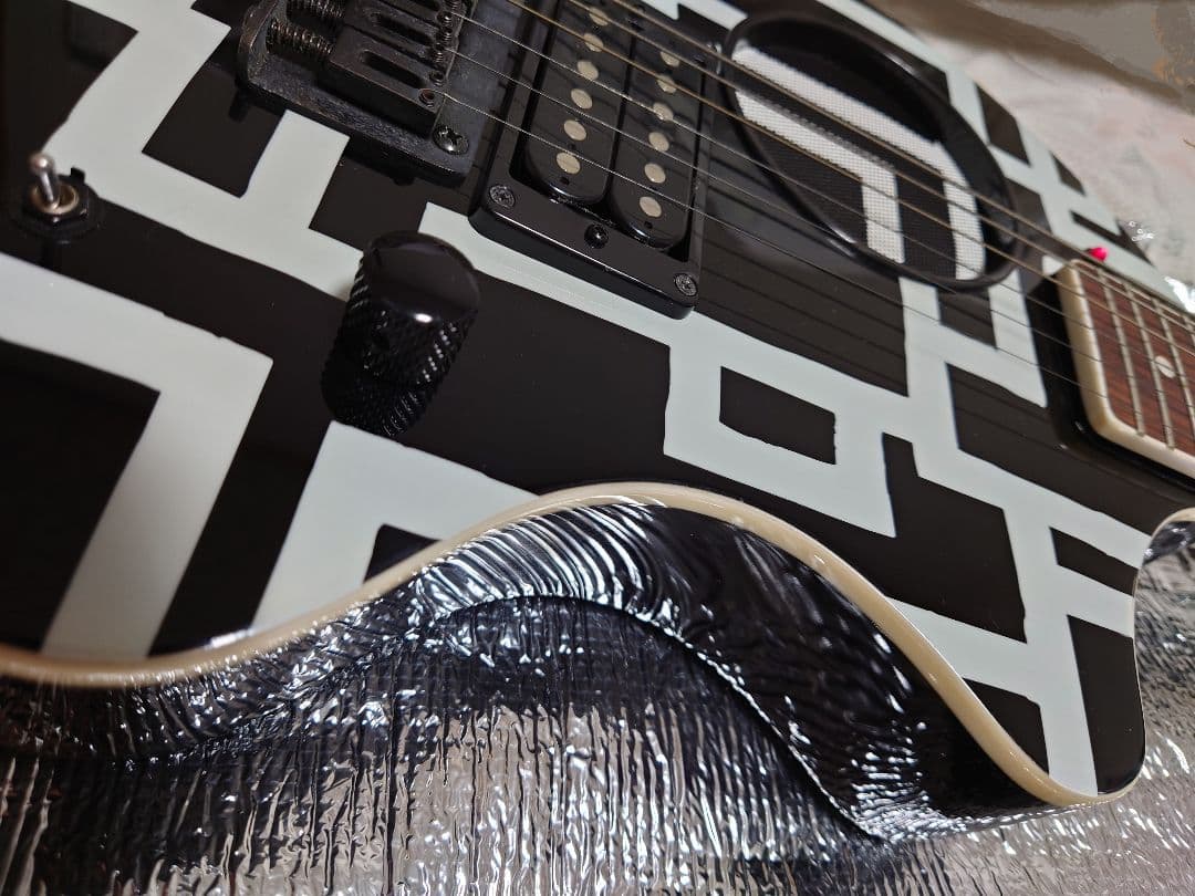 布袋寅泰 FERNANDES ZO-3 HOTEI MODEL