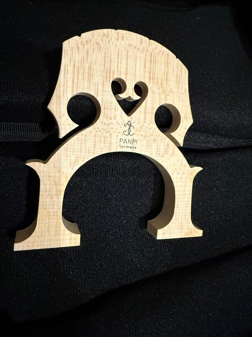 弦楽器 YAMAHA SILENT Cello SVC50