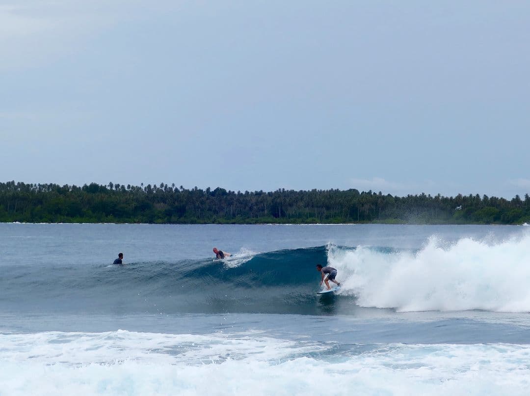 Mayhem LOST EPS　 5'10\"　SUB-BUGGY-JP