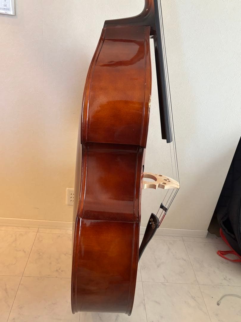 カルロジョルダーノ SB-150 ソフトケース付き　（直接取引限定）