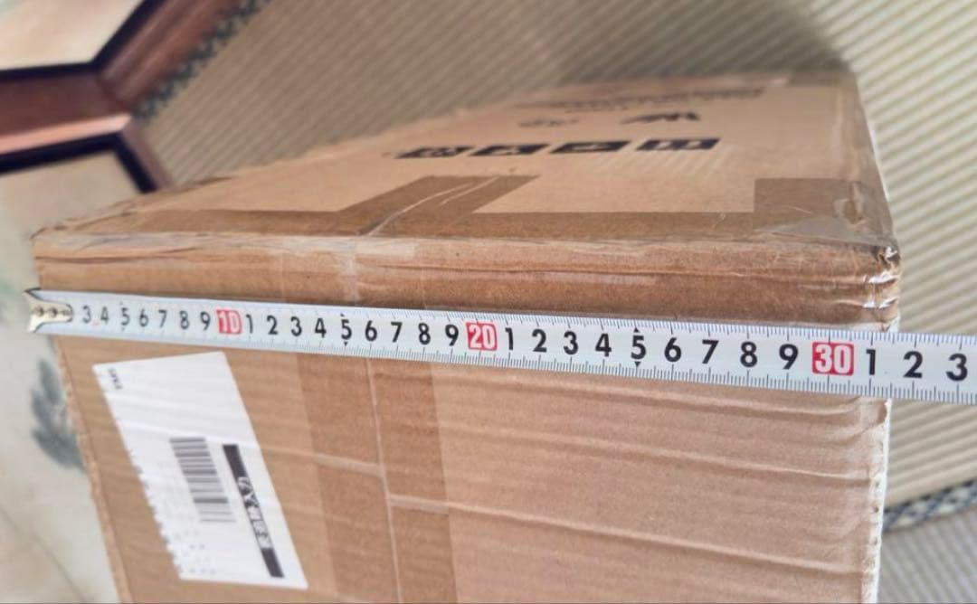 新品　深田えいみ『異世幻想』魅魔　フィギュア　Succubus サキュバス