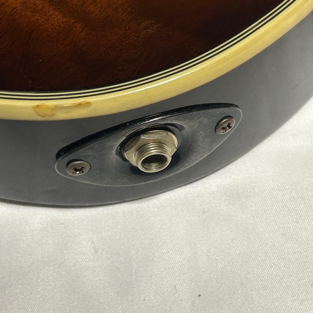 【希少モデル・美品】Ibanez RG198QM エレキギター