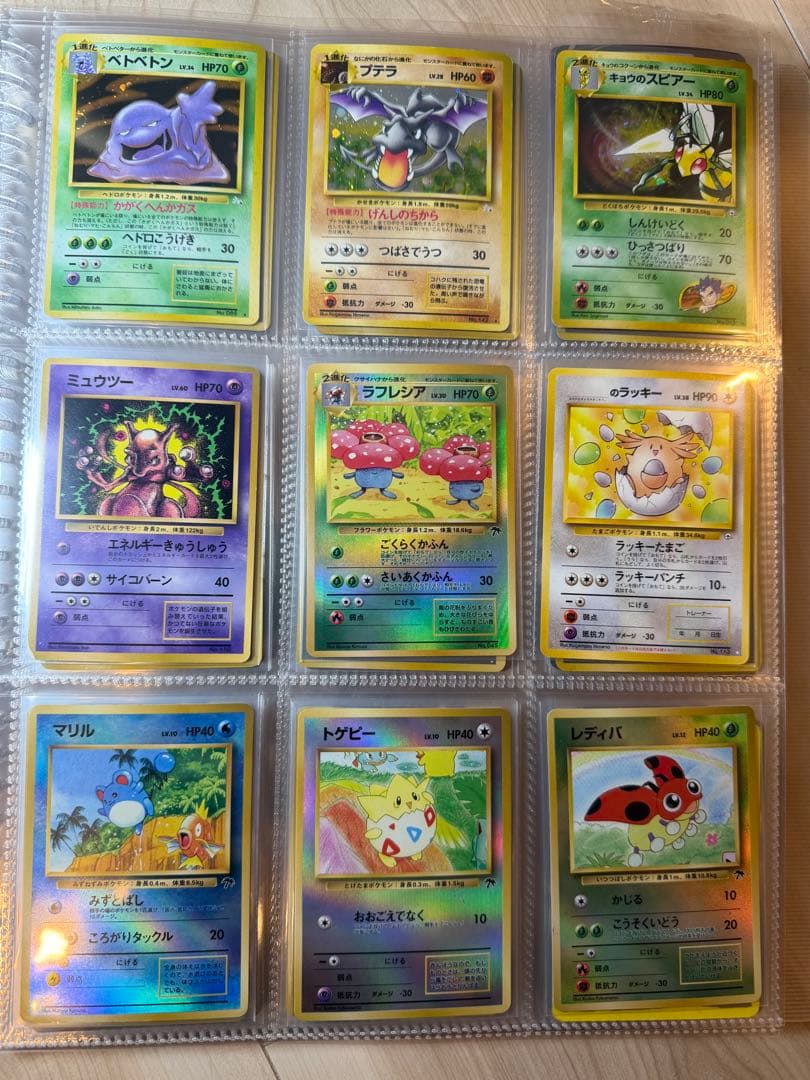 ポケモンカード コレクション