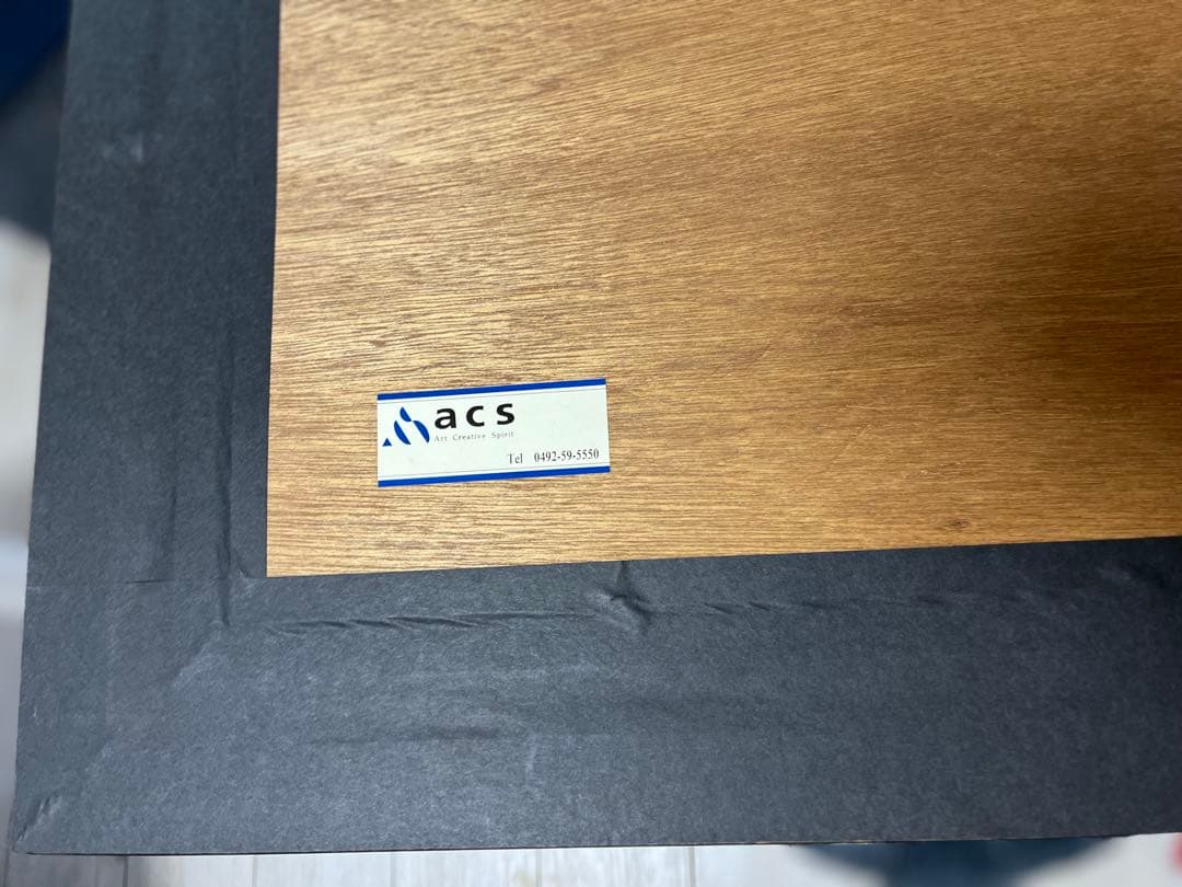 【希少価値の黒豹】シムシメール 「未来を探し求めて」美品 ジークレー 絵画 AP