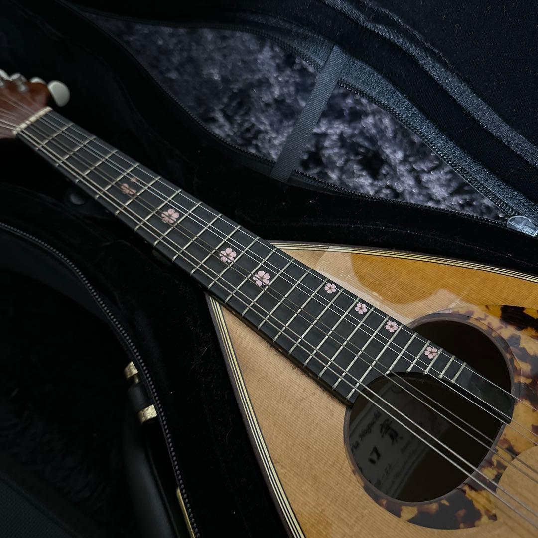 野口實 マンドリン 弦楽器 SB-52 2009 Super Light