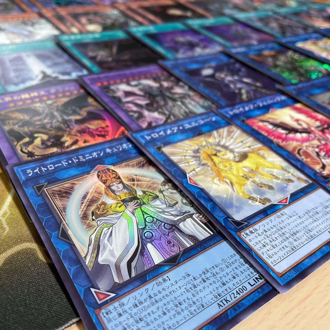 本格構築 未界域暗黒界デッキ スノウ グラファ ビッグフット ネッシー ツチノコ