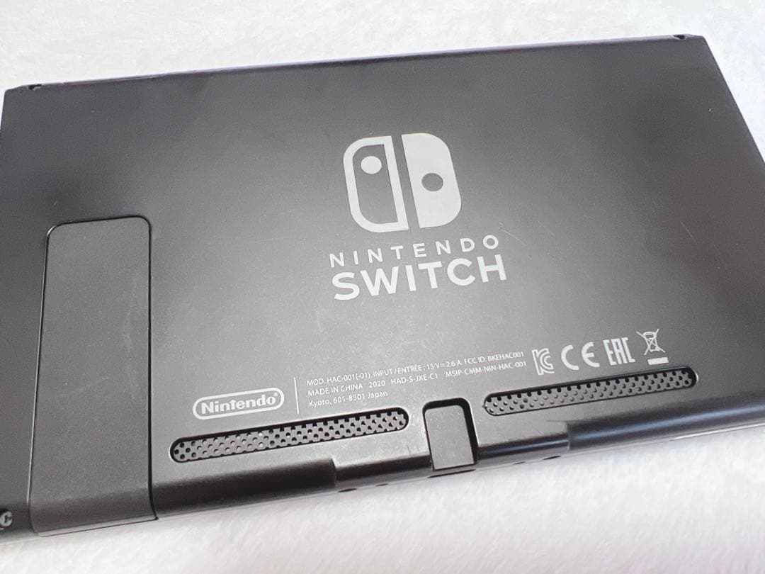 NINTENDO SWITCH HAD-S-KA どうぶつの森セット
