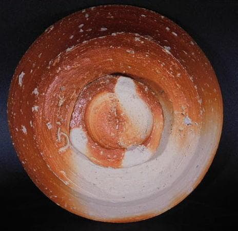 【茶道具　高橋　楽斎　信楽　平茶碗（共箱）／秀逸作品】