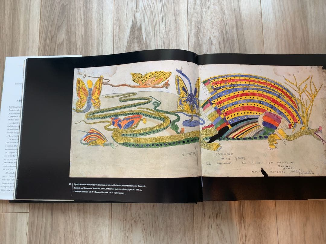 アート・デザイン・音楽 HENRY DARGER