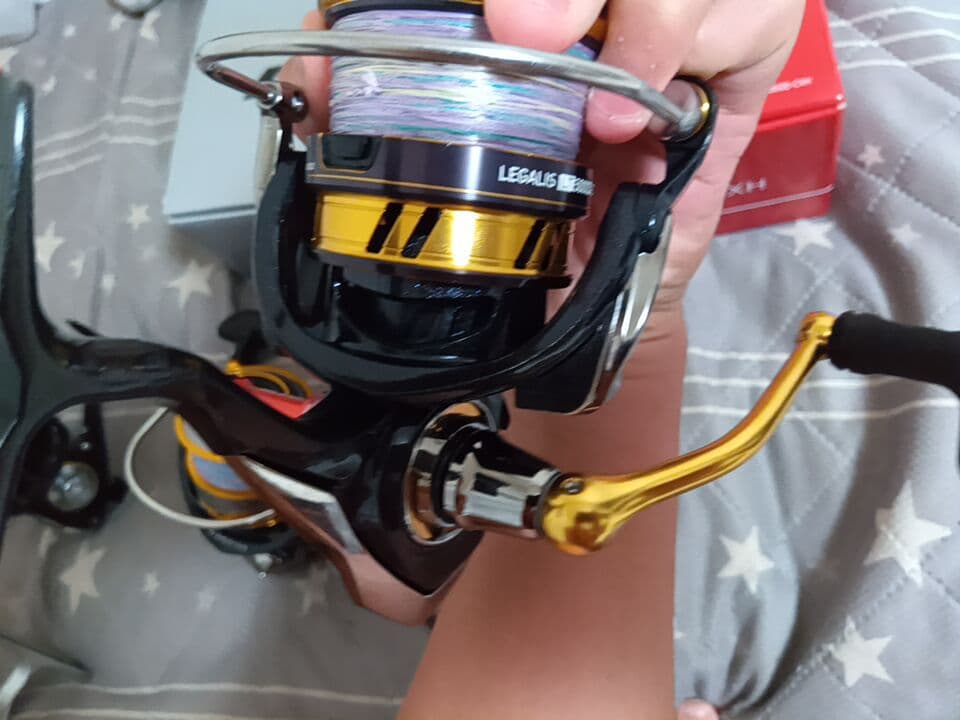 Daiwa スピニングリールセット