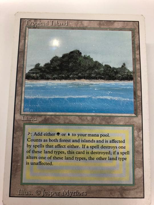 マジック：ザ・ギャザリング mtg Tropical 