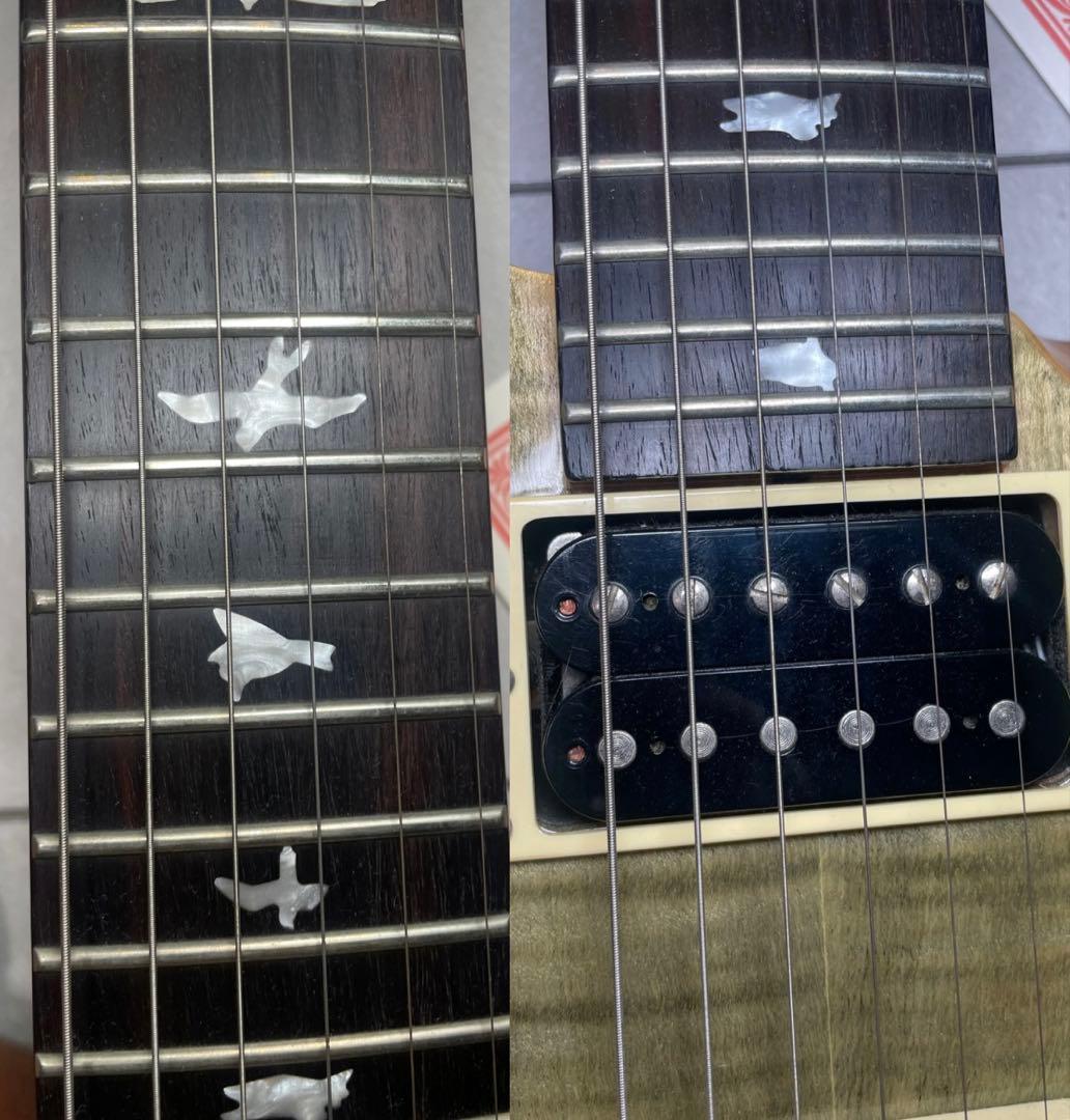 ギター PRS SE custom24 Trampas Green