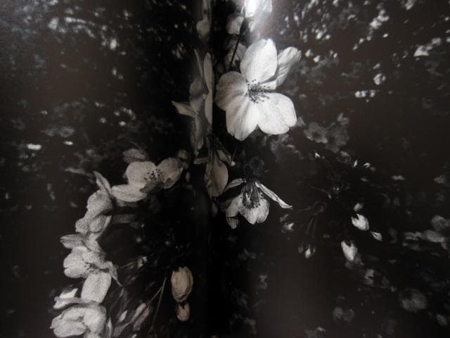 ANGO　森山大道　Daido Moriyama　直筆サイン入り