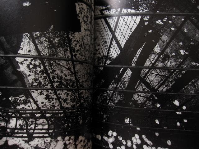 ANGO　森山大道　Daido Moriyama　直筆サイン入り