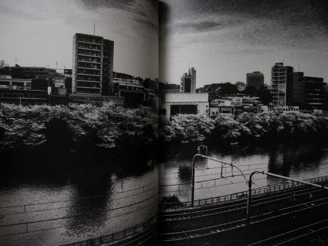 ANGO　森山大道　Daido Moriyama　直筆サイン入り