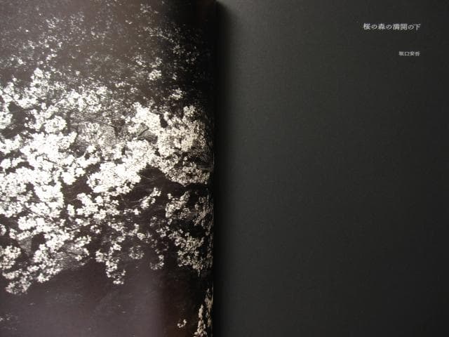 ANGO　森山大道　Daido Moriyama　直筆サイン入り