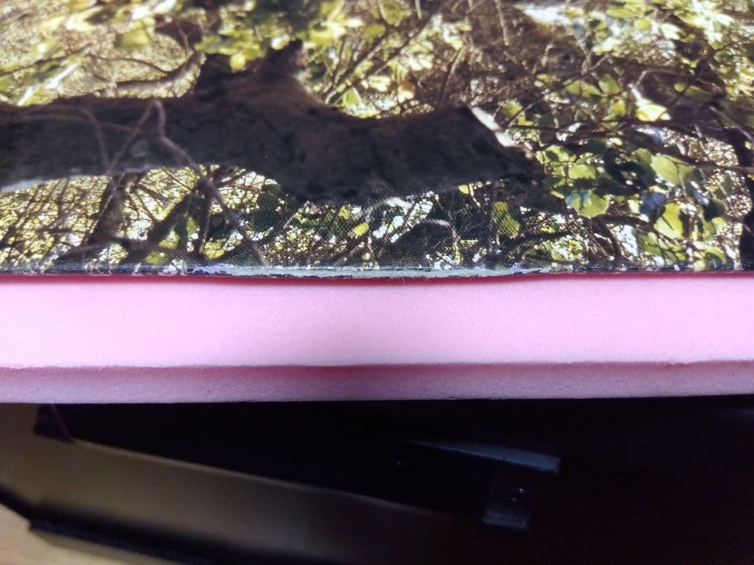 TRAVIS トラヴィス Invisible Band アナログ レコード LP