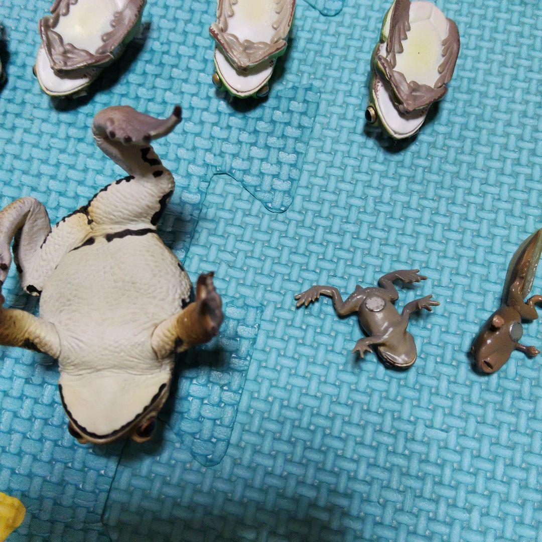 カエル　フィギュア　マグネット