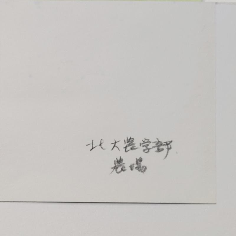 ☆ 境　肇 ☆「北大農学部　農場」水彩画　大衣　新品額！
