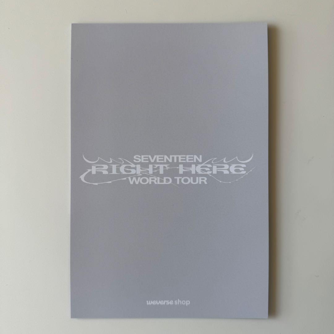 SEVENTEEN RIGHT HERE セブチ パッケージギフト ミンギュ