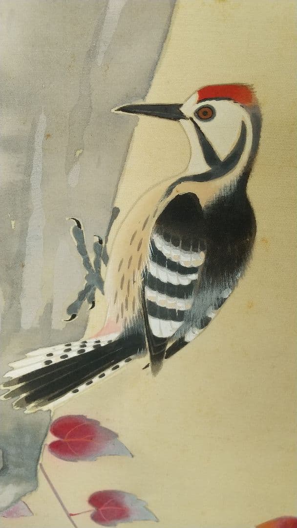 戸田北遙 蔦に小禽 キツツキ 啄木鳥 絹本肉筆掛軸 共箱 師翠嶂