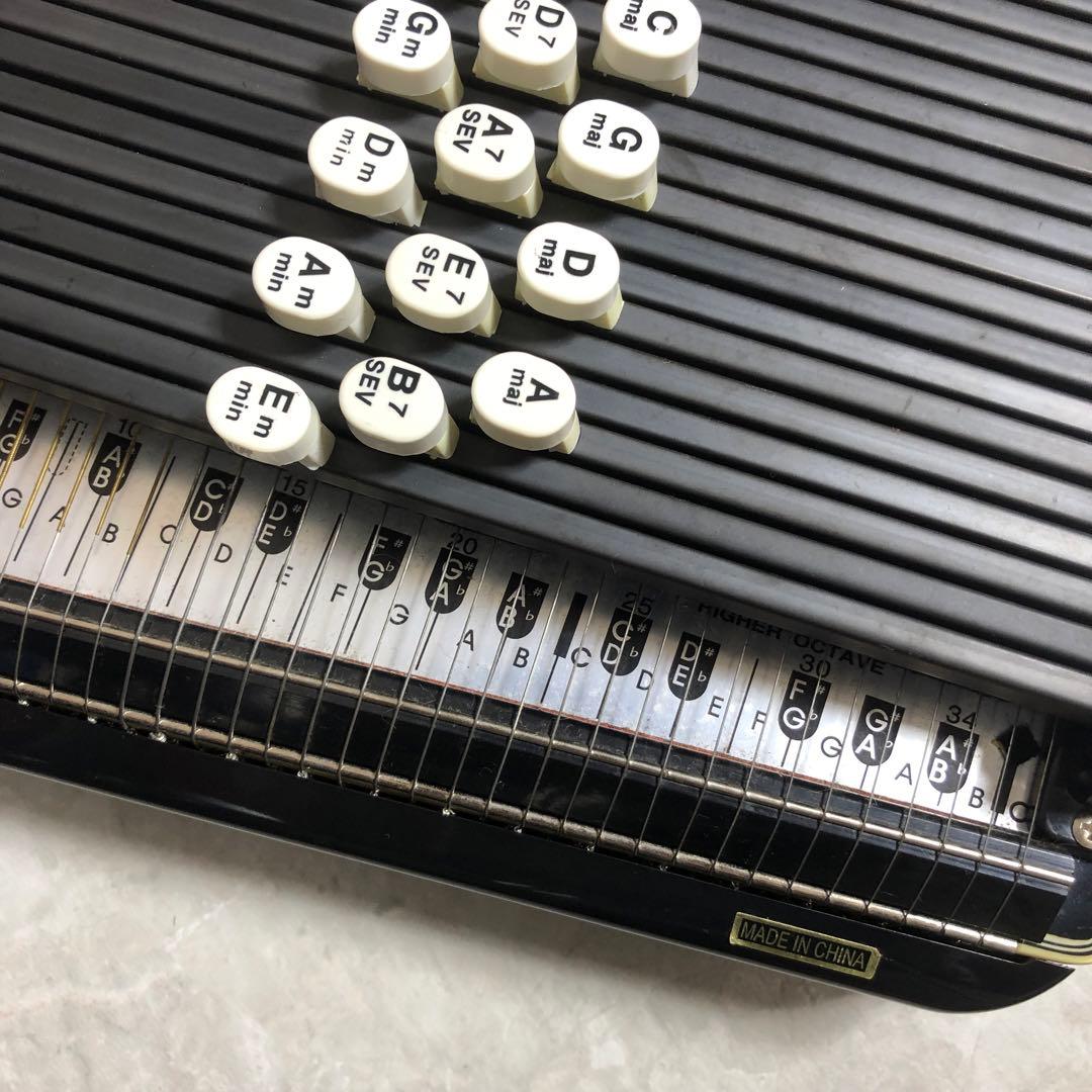 ARIA　AH-21E　弦楽器　コードハープ　専用ケース　ピックアップ搭載モデル