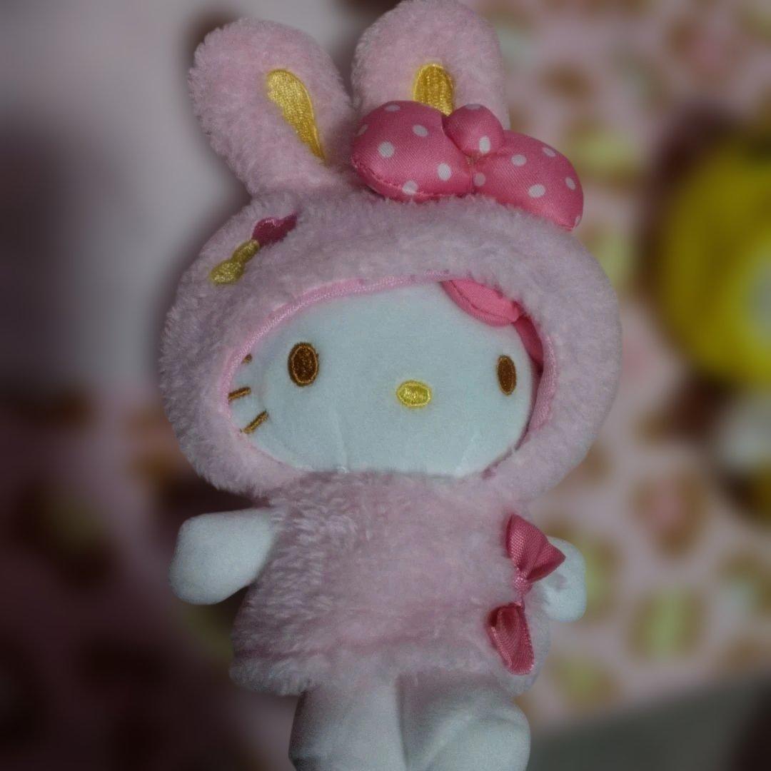 超激レア‼️レトロ‼️キティ 着ぐるみ‼️9 体セット‼️脱げる‼️可愛い‼️