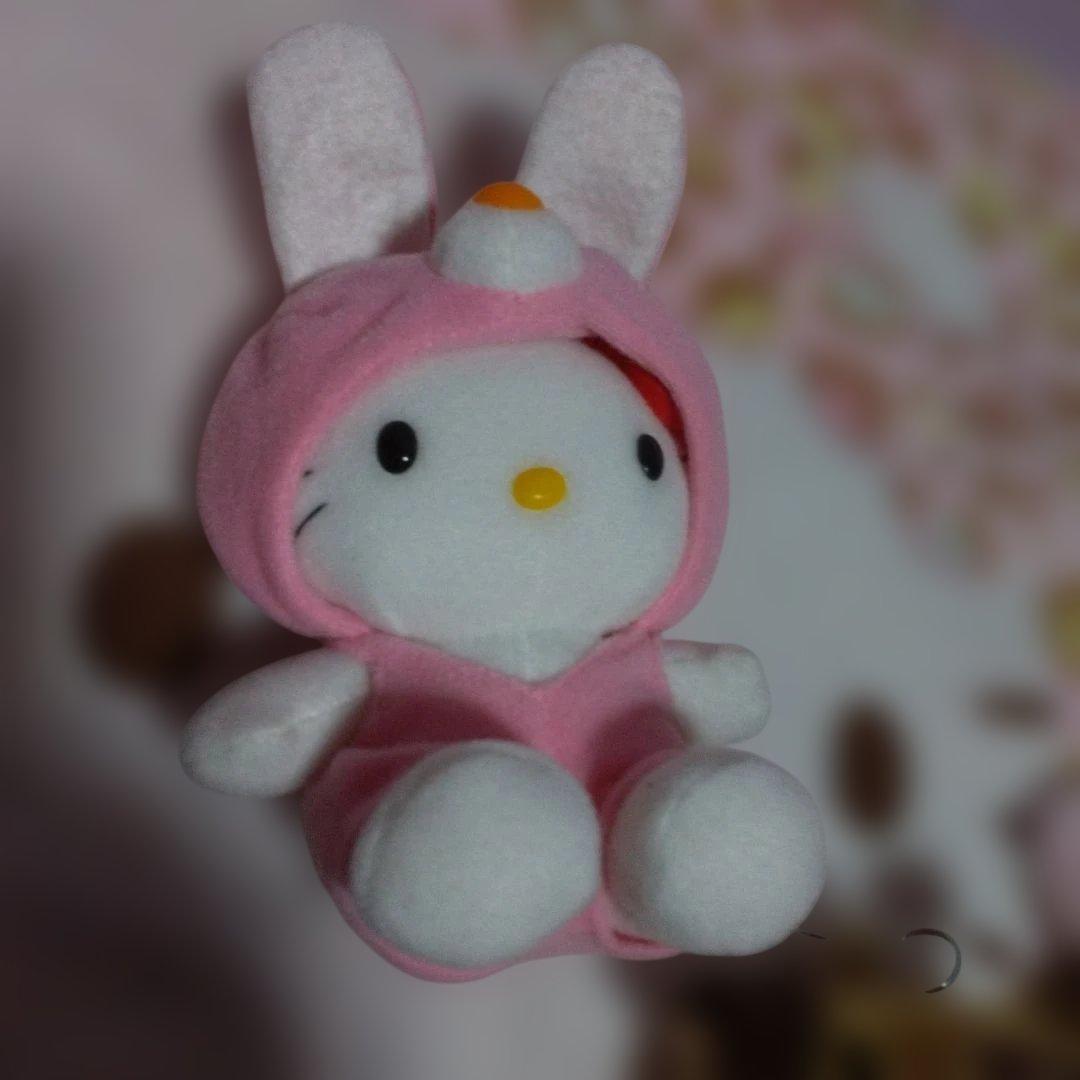 超激レア‼️レトロ‼️キティ 着ぐるみ‼️9 体セット‼️脱げる‼️可愛い‼️