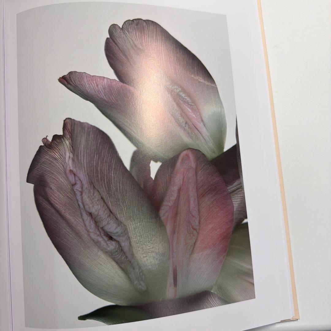 ヘルマン・フォスターリング『Flora Magica』(2006)