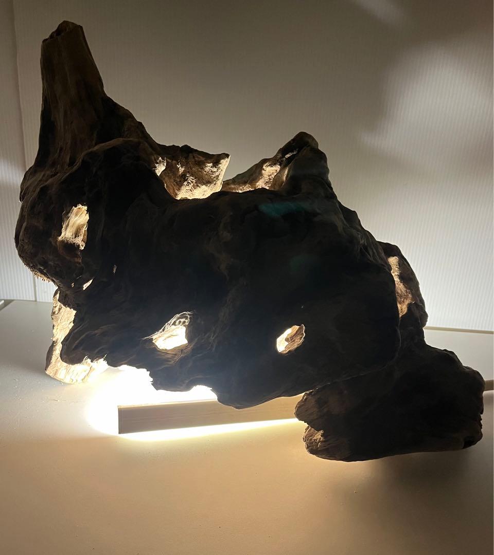 W30大型流木アク抜き済み流木 爬虫類シェルター 登り木 インテリア 生け花