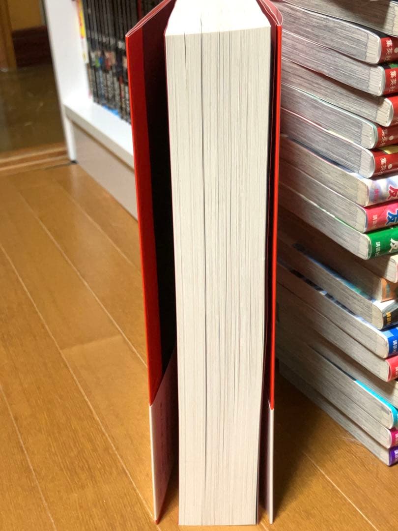 中平卓馬「都市 風景 図鑑」初版・帯付 新品同様美品 magazine work