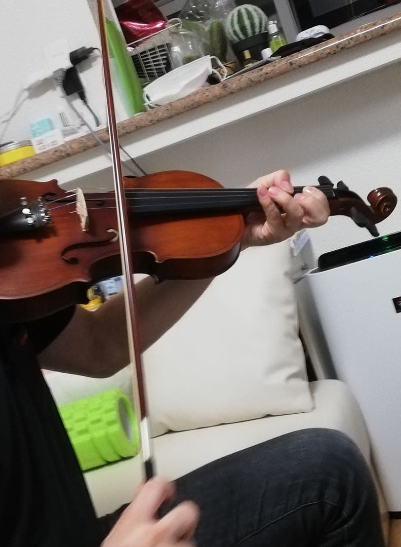 バイオリン本体 ブラウン ハードケース付き